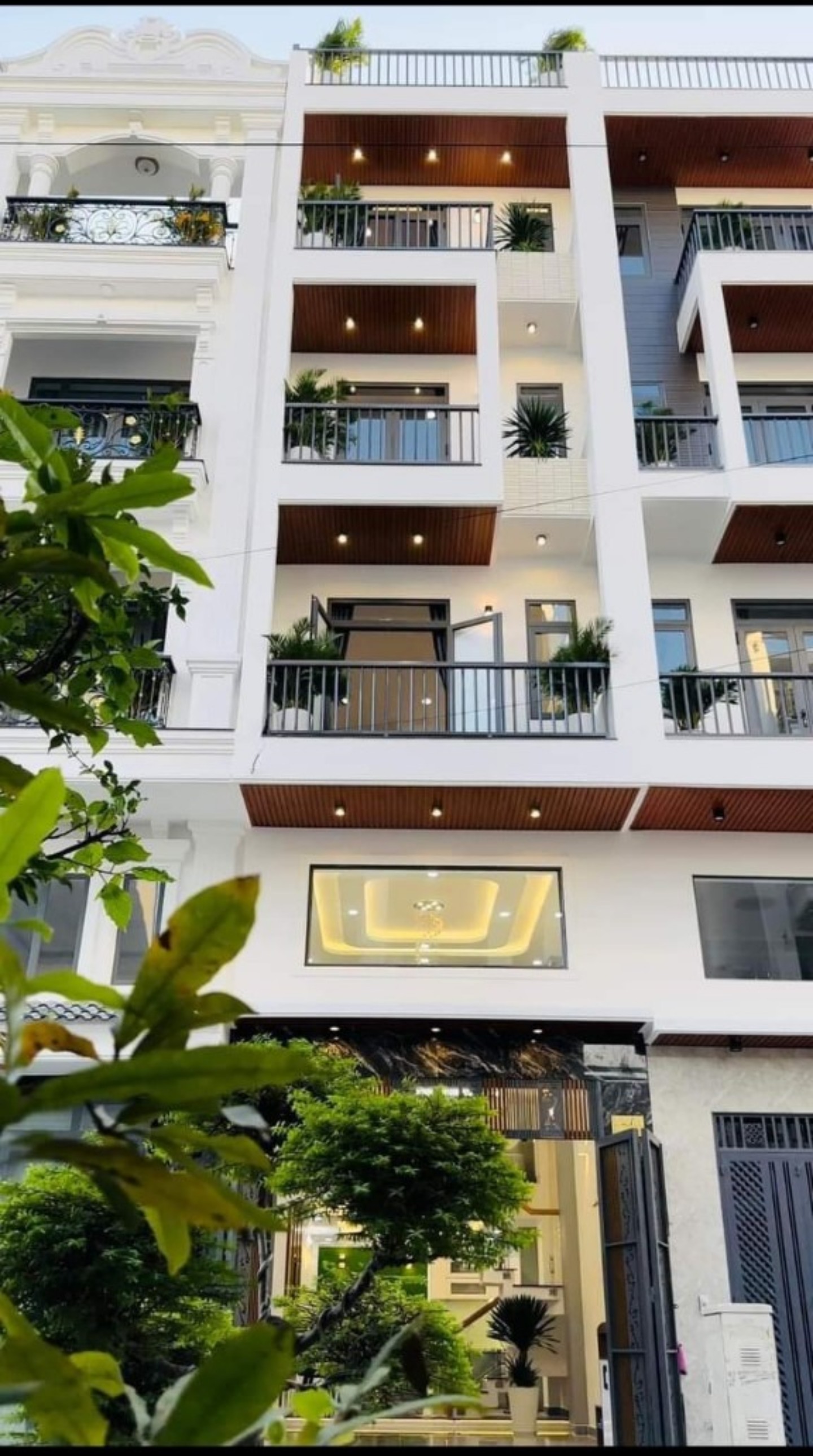 Mẫu 39