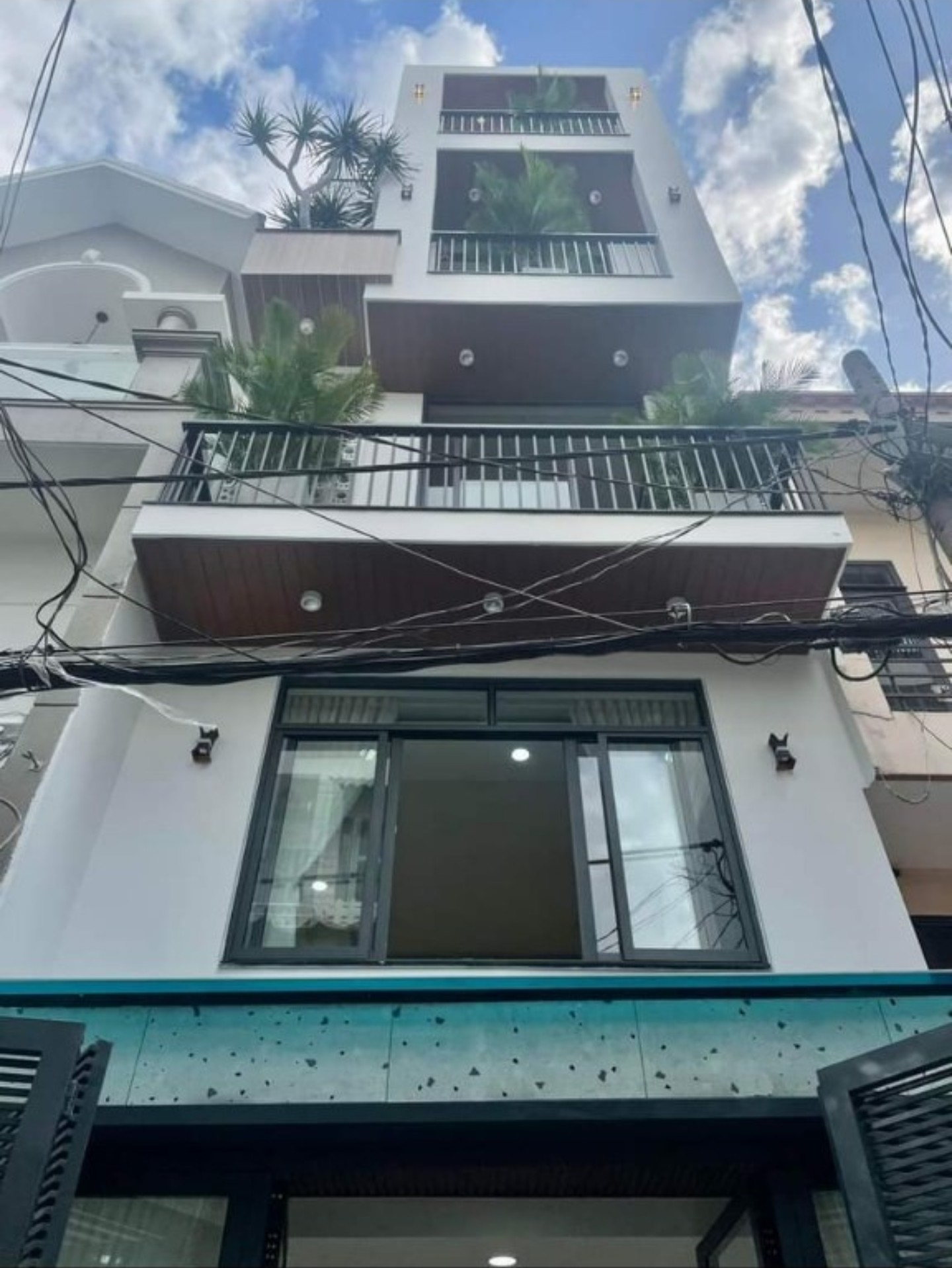 Mẫu 61