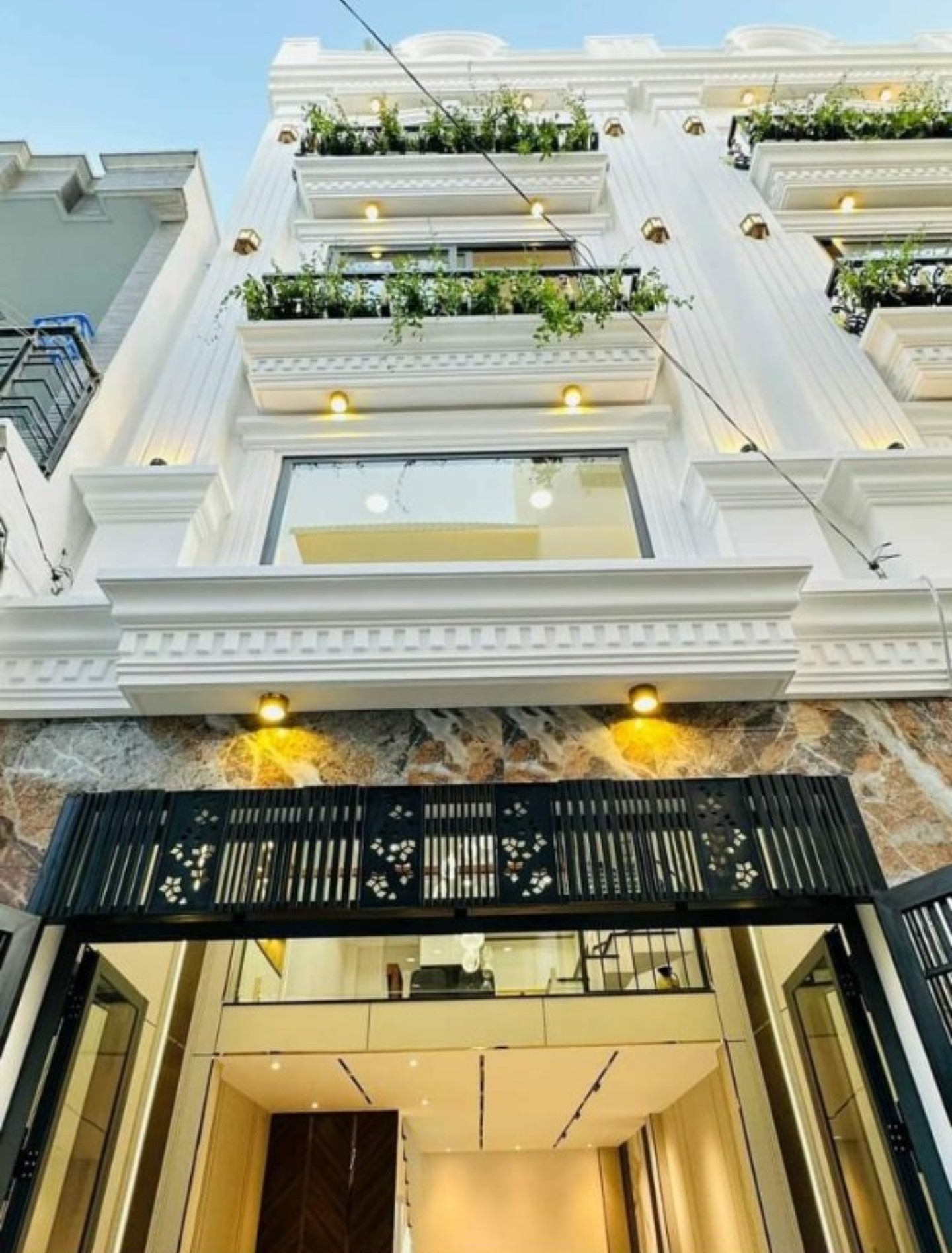 Mẫu 67