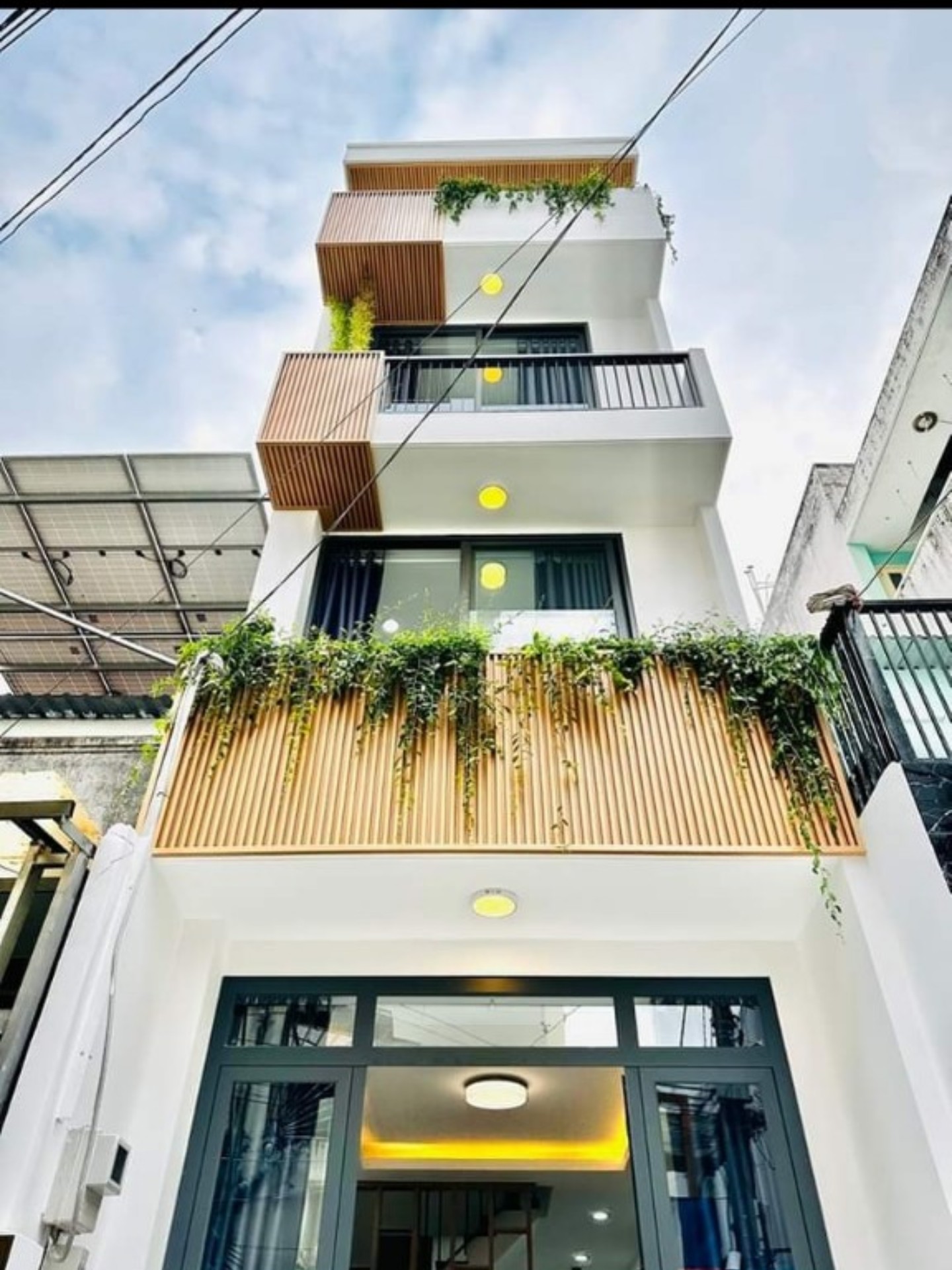 Mẫu 74