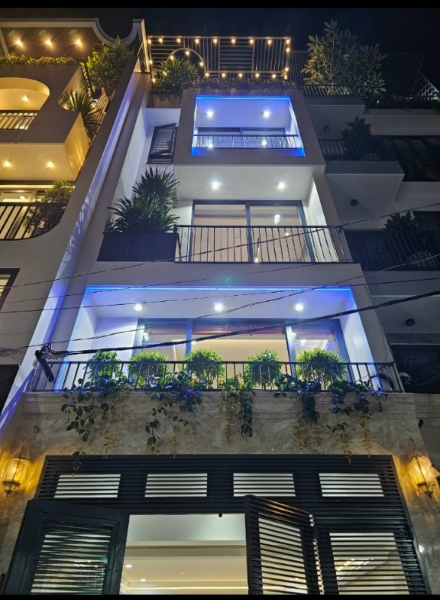 Mẫu 81